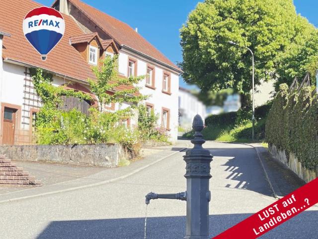 7 Schlafzimmer Haus St. Wendel Deutschland 104230065