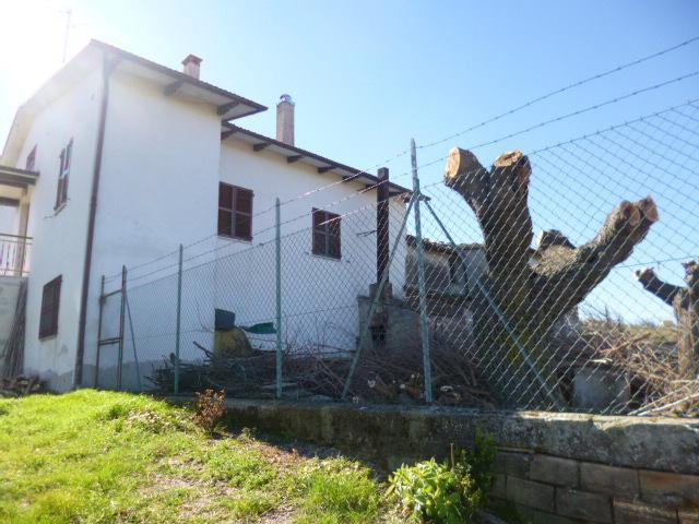 7 vani 250mq