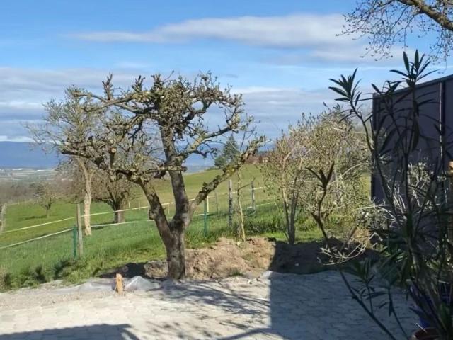 7 Zimmer, 225 m²