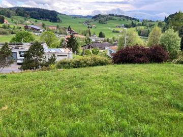 7 Zimmer, 250 m²