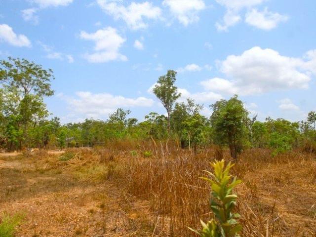 7.2 + Acres vacant land