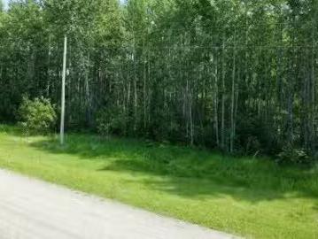 7 53420 Rge Road 60, Rural Parkland County, AB, T0E 2B0 vaca.