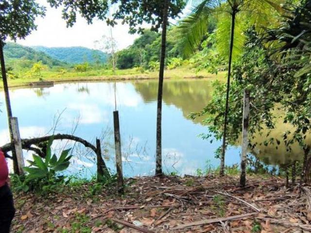7,5 ALQUEIRES PRONTO PRA MORADIA COM 2 LINDOS TANQUES DE PEIXE E PISCINA EM ELDORADO/SP