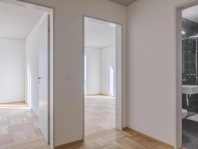 7.5 Zimmerwohnung in Biel