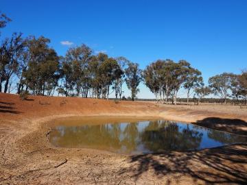 7.70HA 19.03 Acres A Private Retreat to Stay & Relax