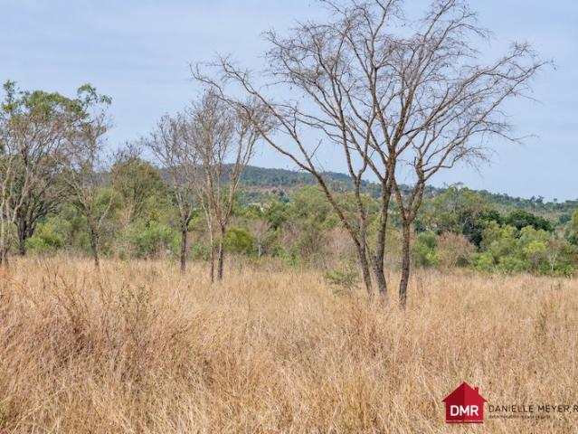 7.8 ACRES OF FERTILE LIFESTYLE COUNTRY MINUTES FROM GAYNDAH