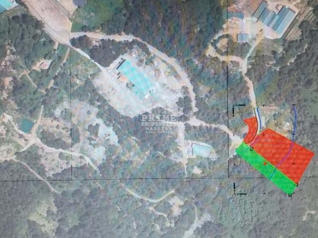 7.983 m² de terreno com chalés tradicionais habitáveis, recursos hídricos e potencial de desenvolvimento