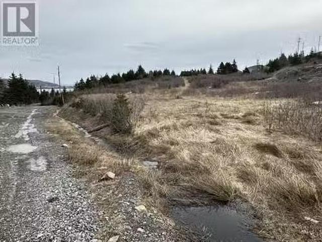 7A Cotters Street, Carbonear, NL, A1Y 1A7 vacant land for sa.