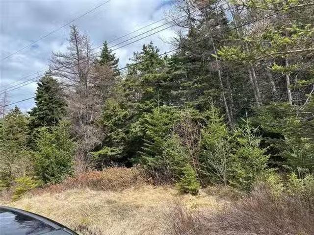 83 84 Conception Bay Highway, Colliers, NL, A0A 1Y0 vacant l.