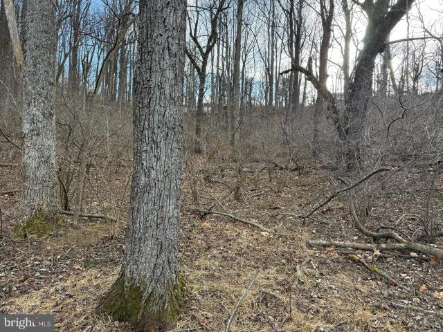 83 A Oriole Ct, Front Royal, VA 22630 | MLS #VAWR2013