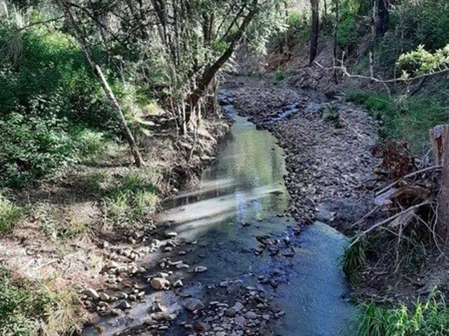 800 Acres of Opportunity Grazing, Timber & Lifestyle in the Macleay Valley