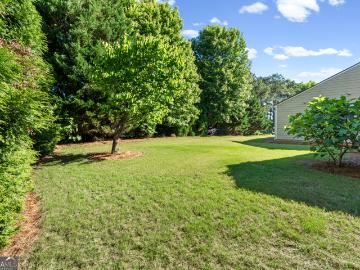 800 Dusky Sap Court