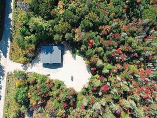 800 Rye Road, South River, ON, P0A 1Z0 house for sale | Listing ID X13477 | Royal LePage