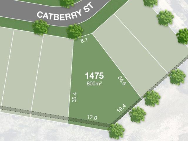 800m2 Premium Investor Lot