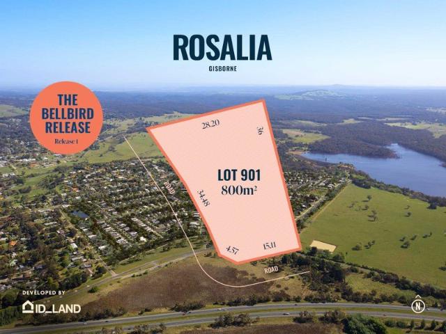 800m² of Opportunity in the Bellbird Release