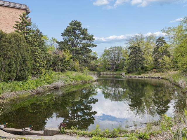 8025 Woodglen Lane # 403