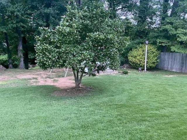 802 Rebel Dr