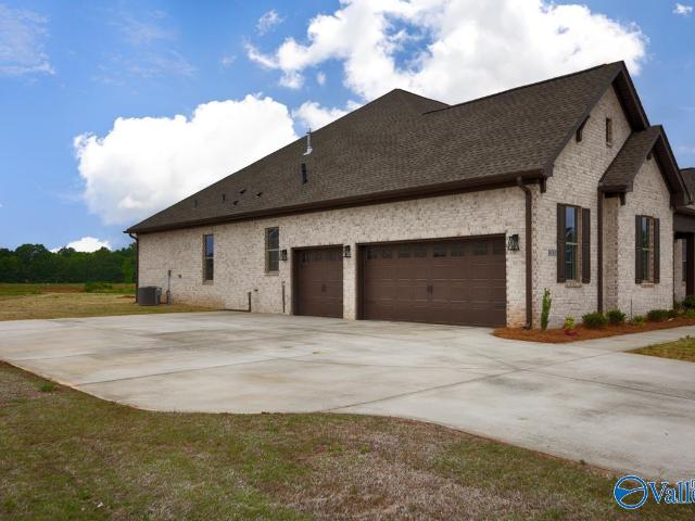8060 Tupelo Gum Trace