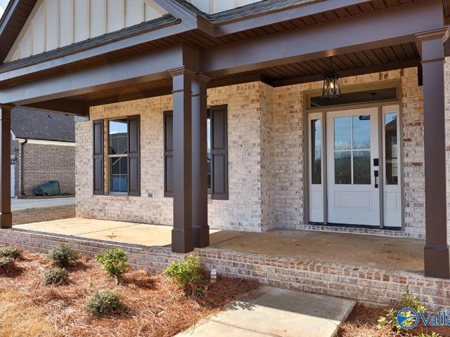 8062 Tupelo Gum Trace