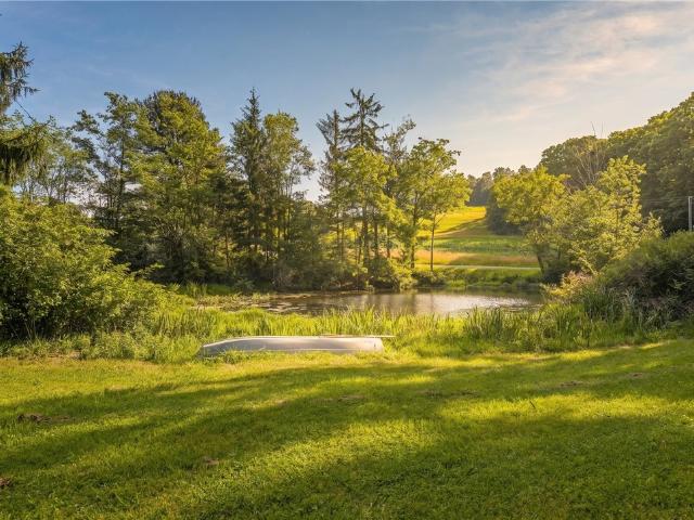 806 Briar Patch Rd