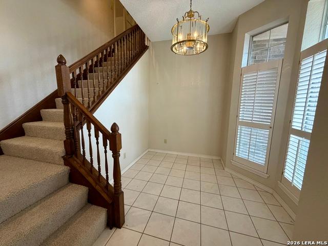 806 Mesquite