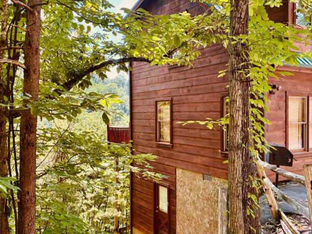 806 Ski View Lane