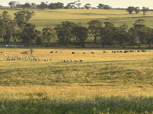 80 Acres | Exceptional Water Security | Quality Infrastructure