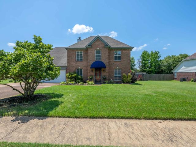 80 cotton trail dr