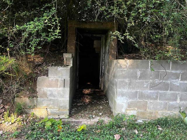 80 County Road 454