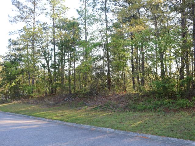 80 Hemlock Court