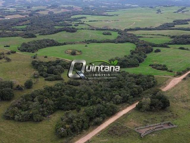 80 hectares Cerrito RS 11km BR 293 Terra para Soja