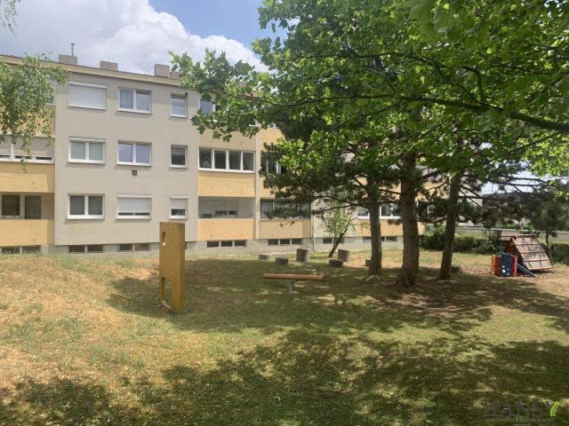 80 m² Wohnung 3 Zimmer mit einer großen Loggia PLUS Garage in Gumpoldskirchen´s Grünlage