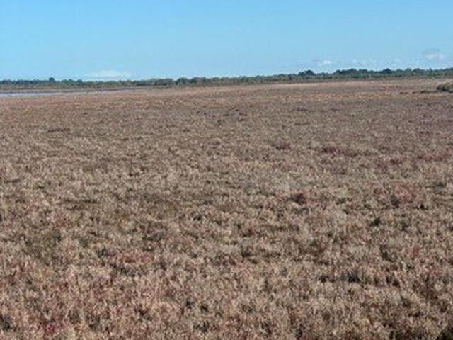 80ha app With Huge Potential