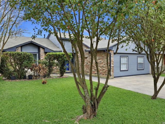 8104 Forest Bow, Live Oak, TX 78233 | MLS #1947