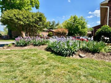 810 Highland Drive 404