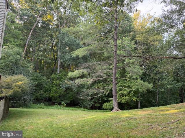 8110 Clifforest Drive