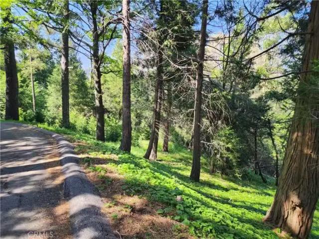 811 DEER TRL, CRESTLINE, CA 92325