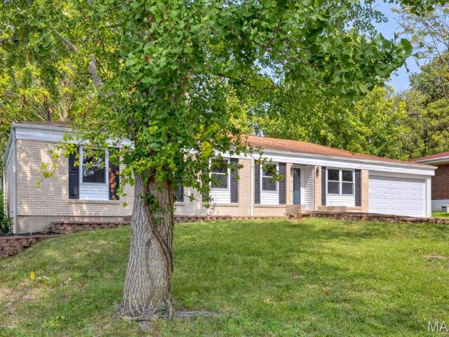 815 Ariege Dr, Creve Coeur, MO 63141 | MLS #26011