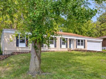 815 Ariege Dr, Creve Coeur, MO 63141 | MLS #26011