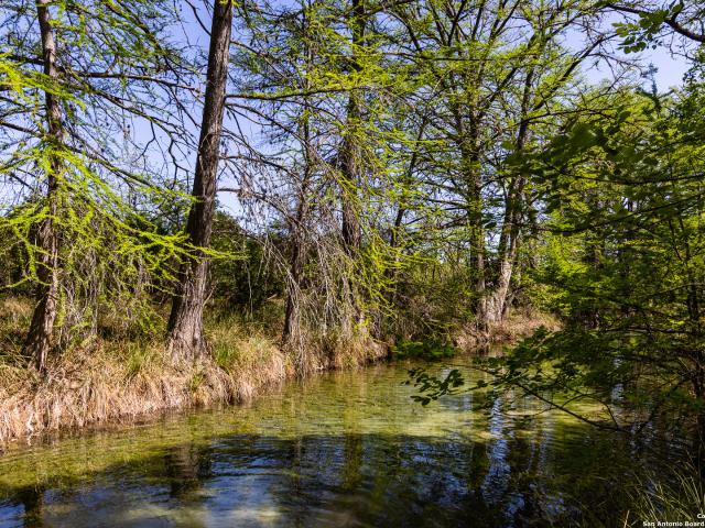 816 Cornelius Rd, Utopia, TX 78884 | MLS #1858