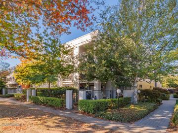 Apartment for rent in Turner, Majura