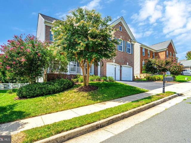 8185 Paper Birch Drive