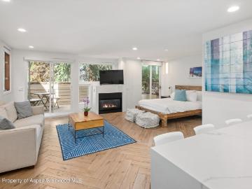 819 E Hyman Avenue, 3, Aspen, CO
