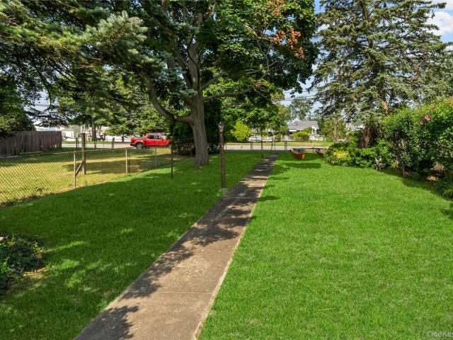 81 Wilson Avenue