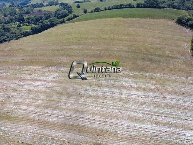 81 Hectares em Mariana Pimentel, Área Produtiva, 70% lavoura