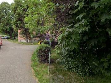 81 m2 apartment for rent in Zwickau