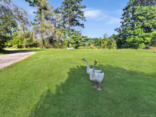 81 Old Unionville Road
