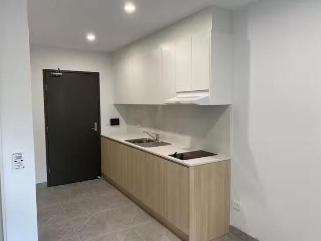 81 Palace Street, Petersham, NSW 2049