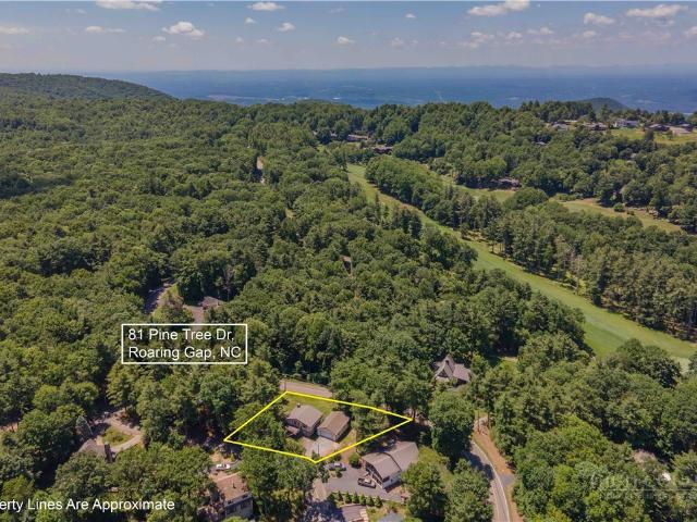 81 Pine Tree Drive