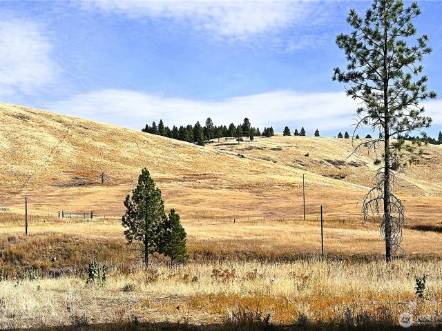 81 Rose Valley RD